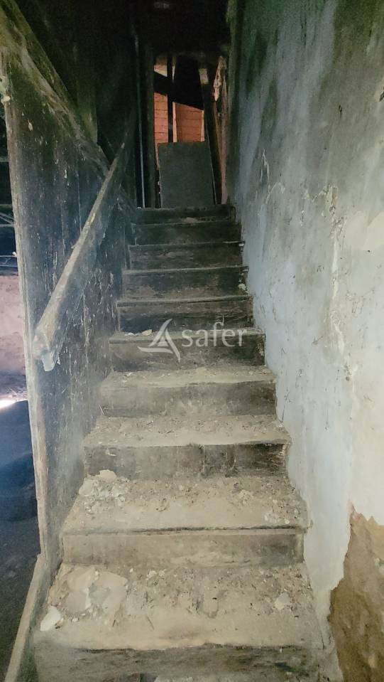 Azienda agricola In vendita tarn