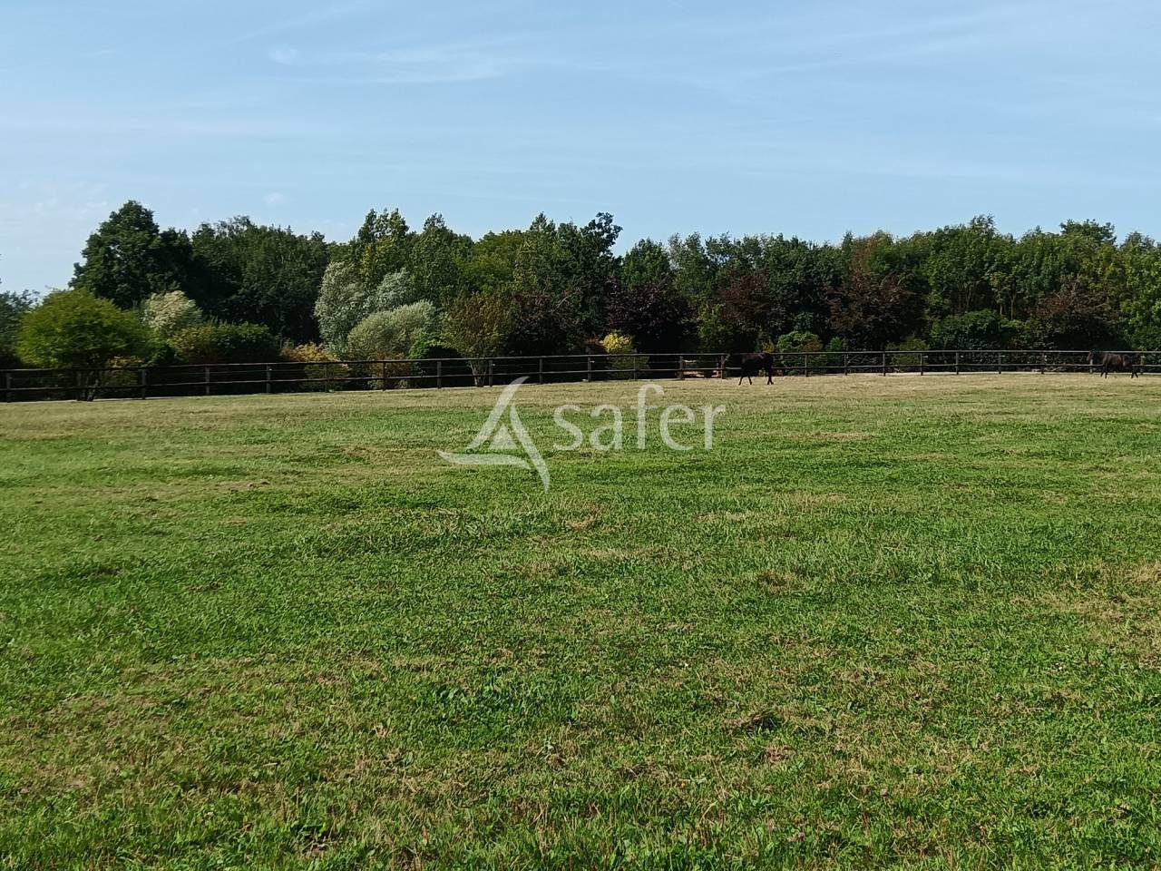 Proprietà equestre In vendita Calvados