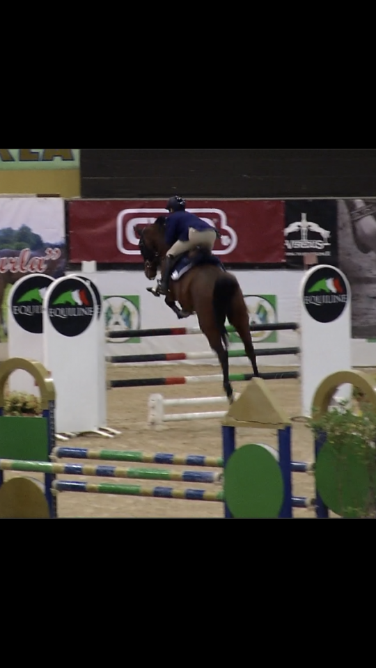 Vendesi cavallo salto