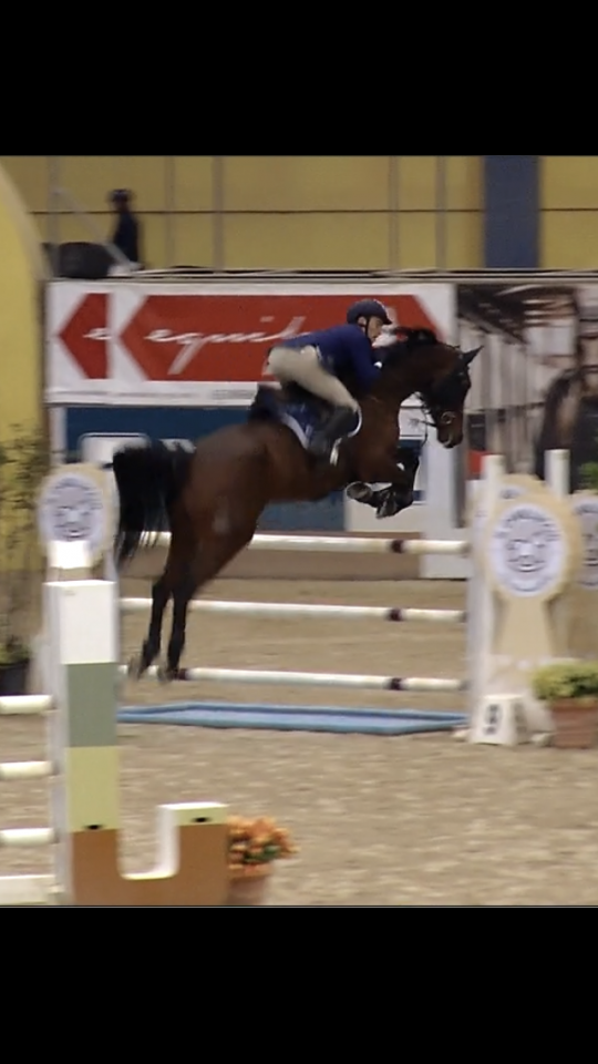 Vendesi cavallo salto