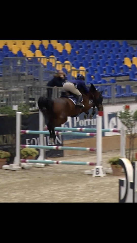 Vendesi cavallo salto