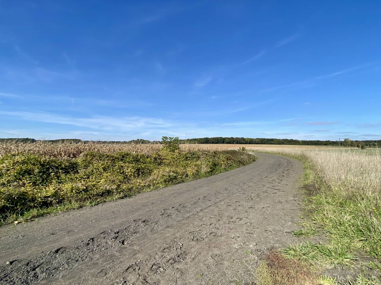 Scuderia per proprietari In vendita Seine-et-Marne