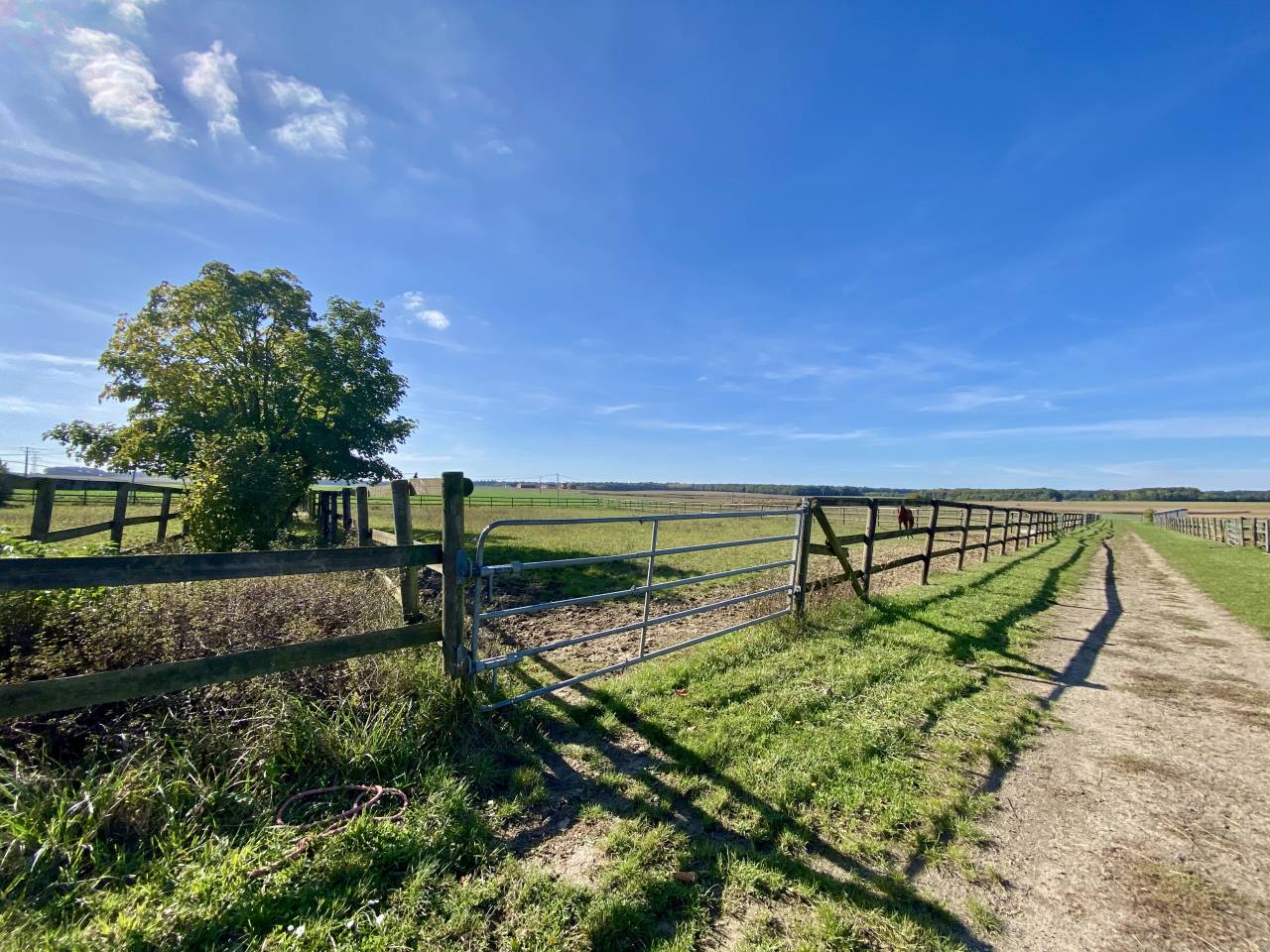 Scuderia per proprietari In vendita Seine-et-Marne