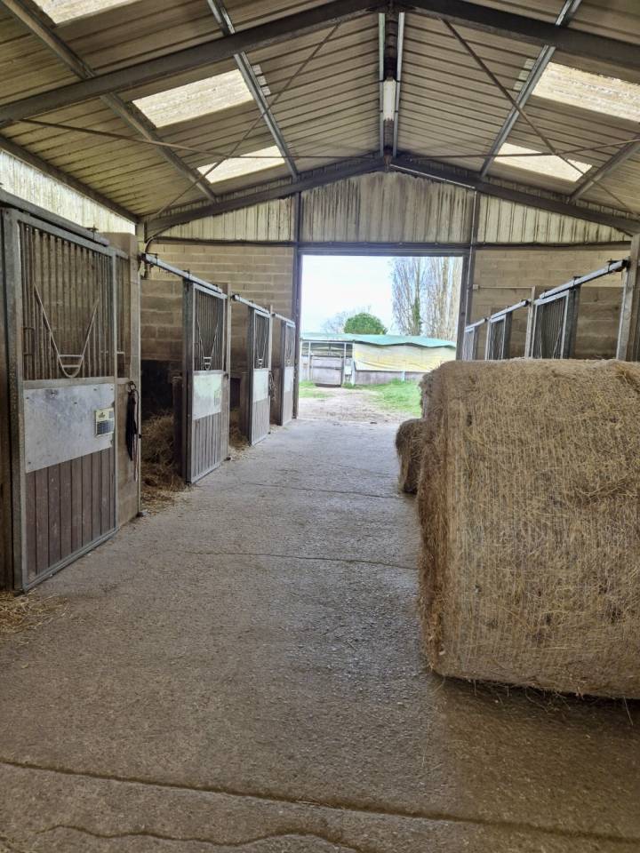 Scuderia per proprietari In vendita Seine-et-Marne