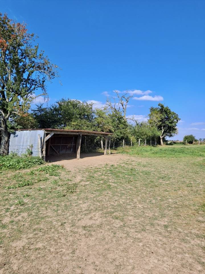 Scuderia per proprietari In vendita Seine-et-Marne