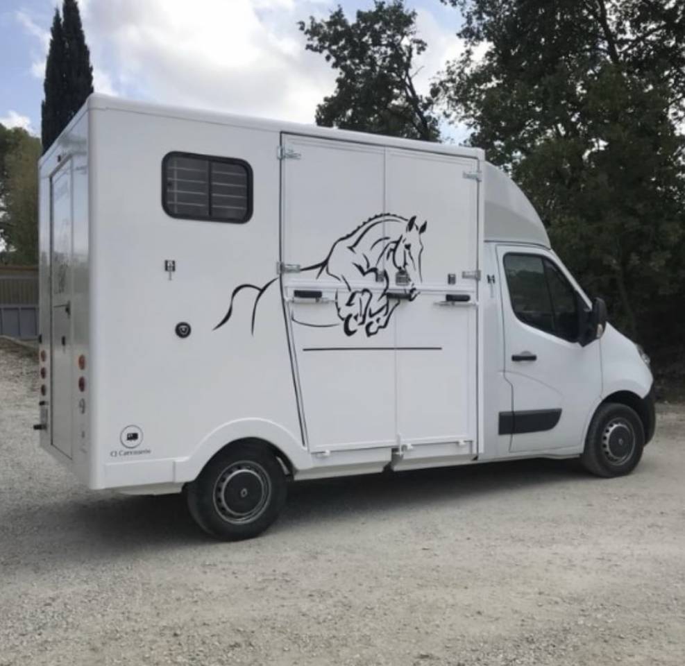 Van per Cavalli Renault Master 2013 Occasione