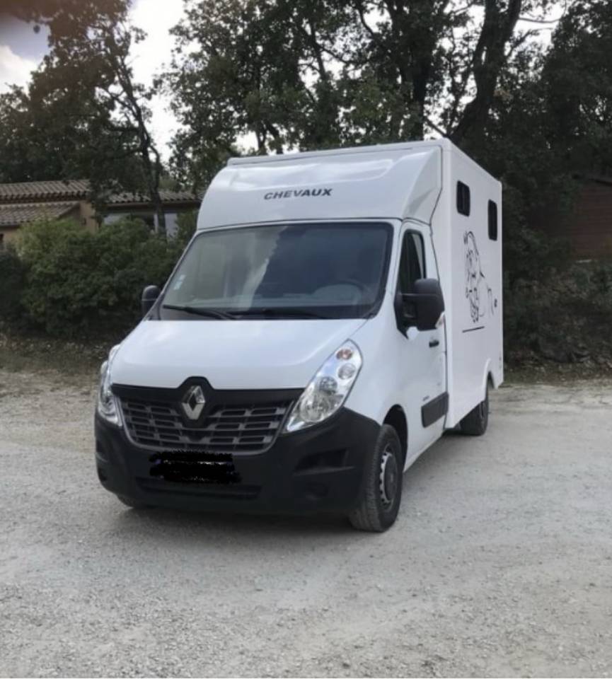 Van per Cavalli Renault Master 2013 Occasione