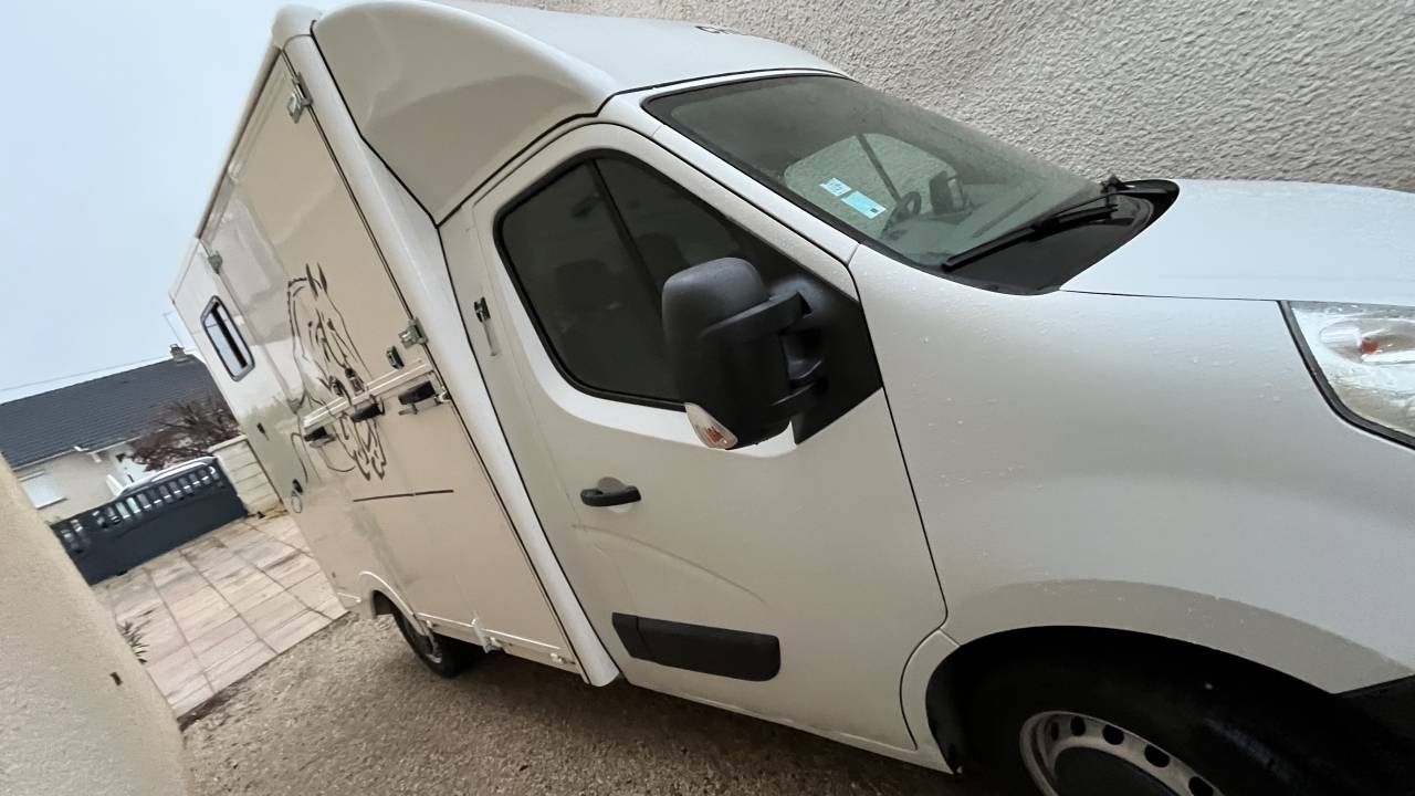 Van per Cavalli Renault Master 2013 Occasione