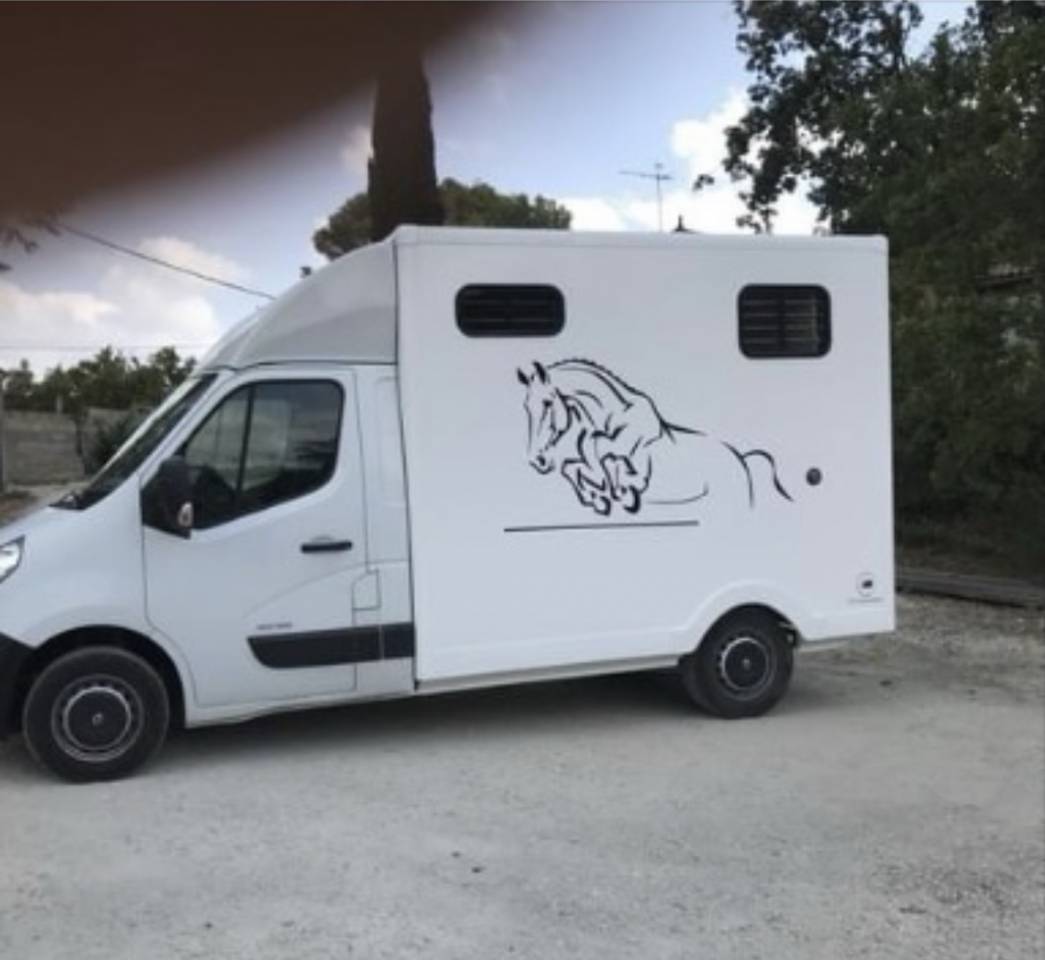 Van per Cavalli Renault Master 2013 Occasione