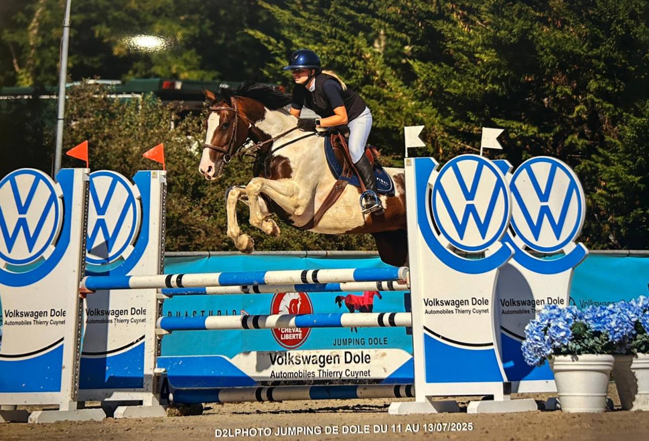 Cavalla Origine non conosciuta  In vendita 2020 Pezzato