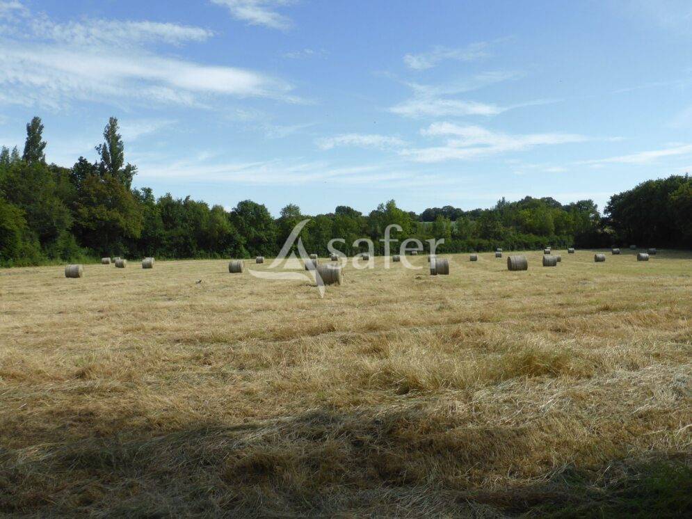 Proprietà rurale In vendita Saône-et-Loire
