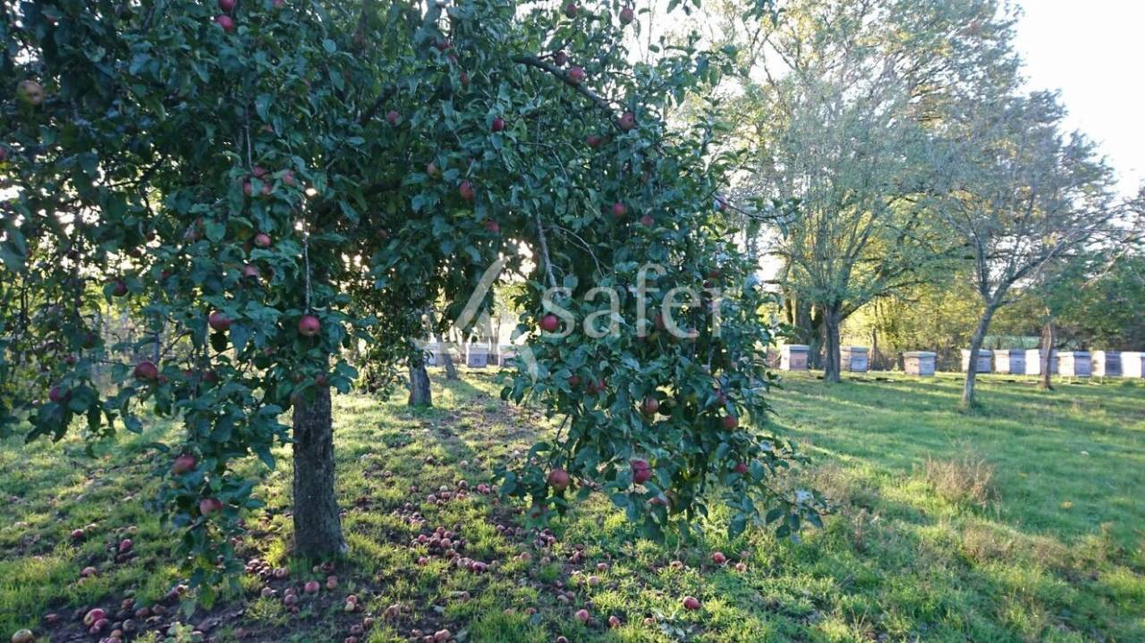 Proprietà rurale In vendita Saône-et-Loire