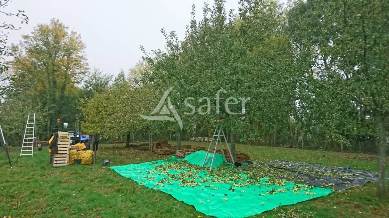 Proprietà rurale In vendita Saône-et-Loire