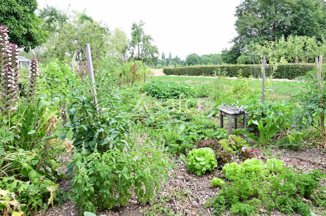 Proprietà rurale In vendita Saône-et-Loire