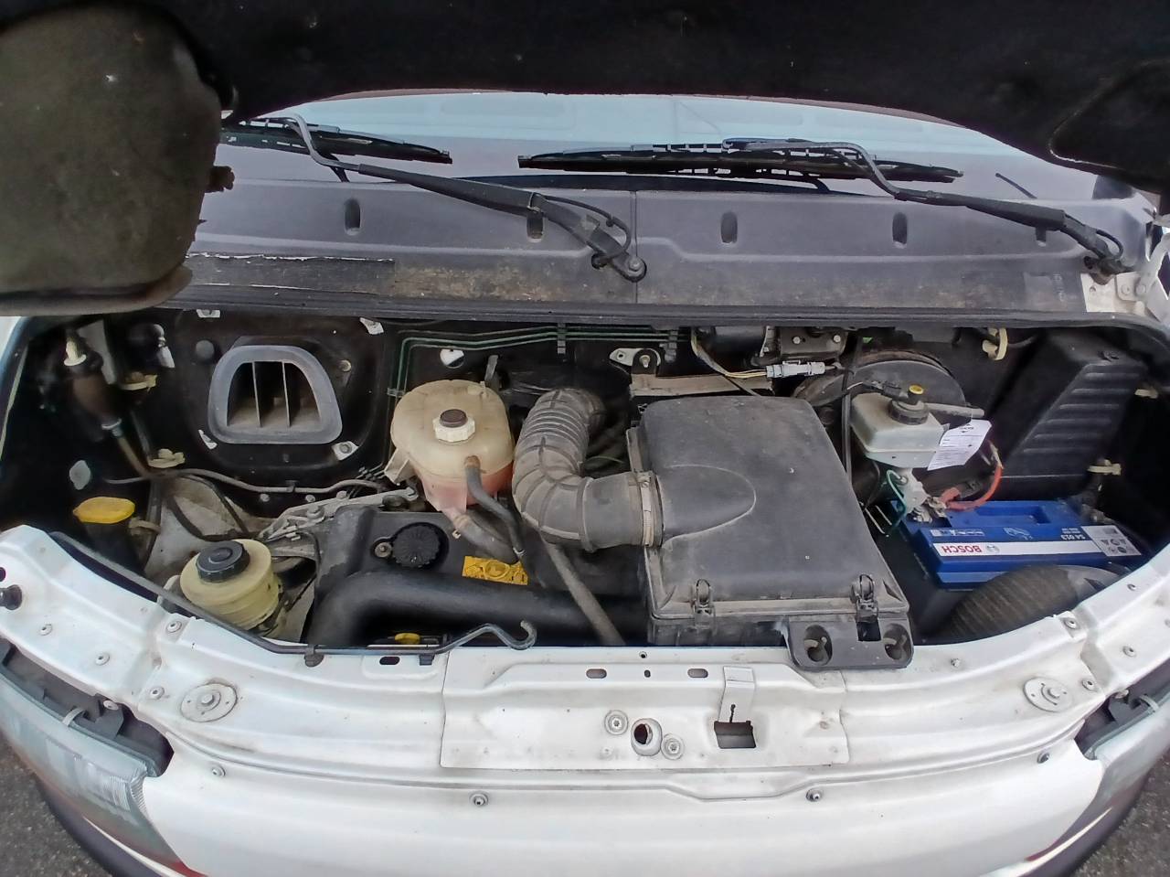 Van per Cavalli Renault MASTER 2001 Occasione