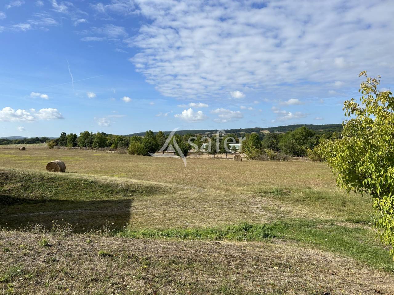 Azienda agricola In vendita Lot-et-Garonne