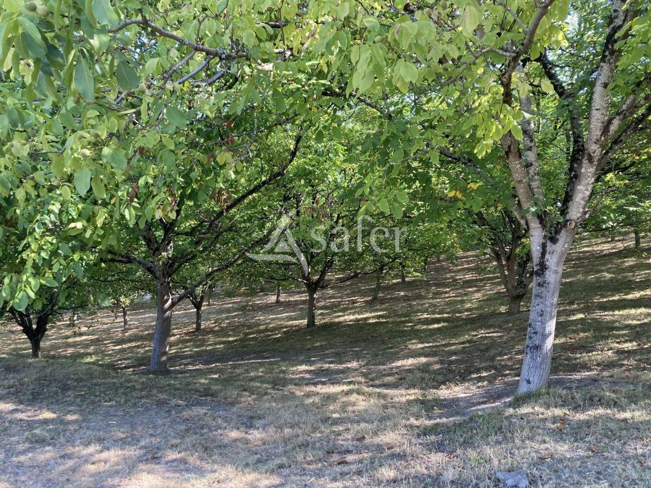 Azienda agricola In vendita Lot-et-Garonne