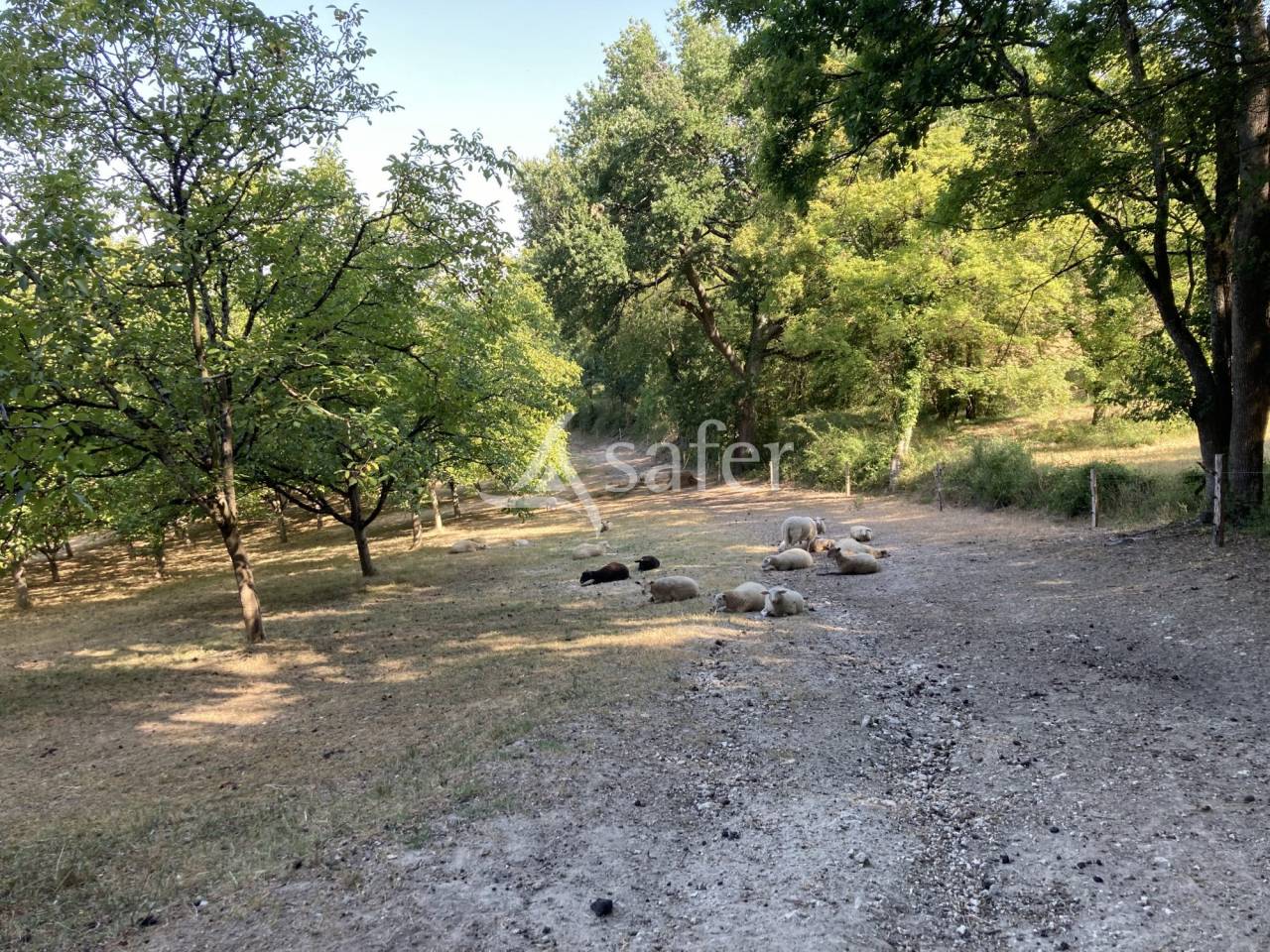Azienda agricola In vendita Lot-et-Garonne