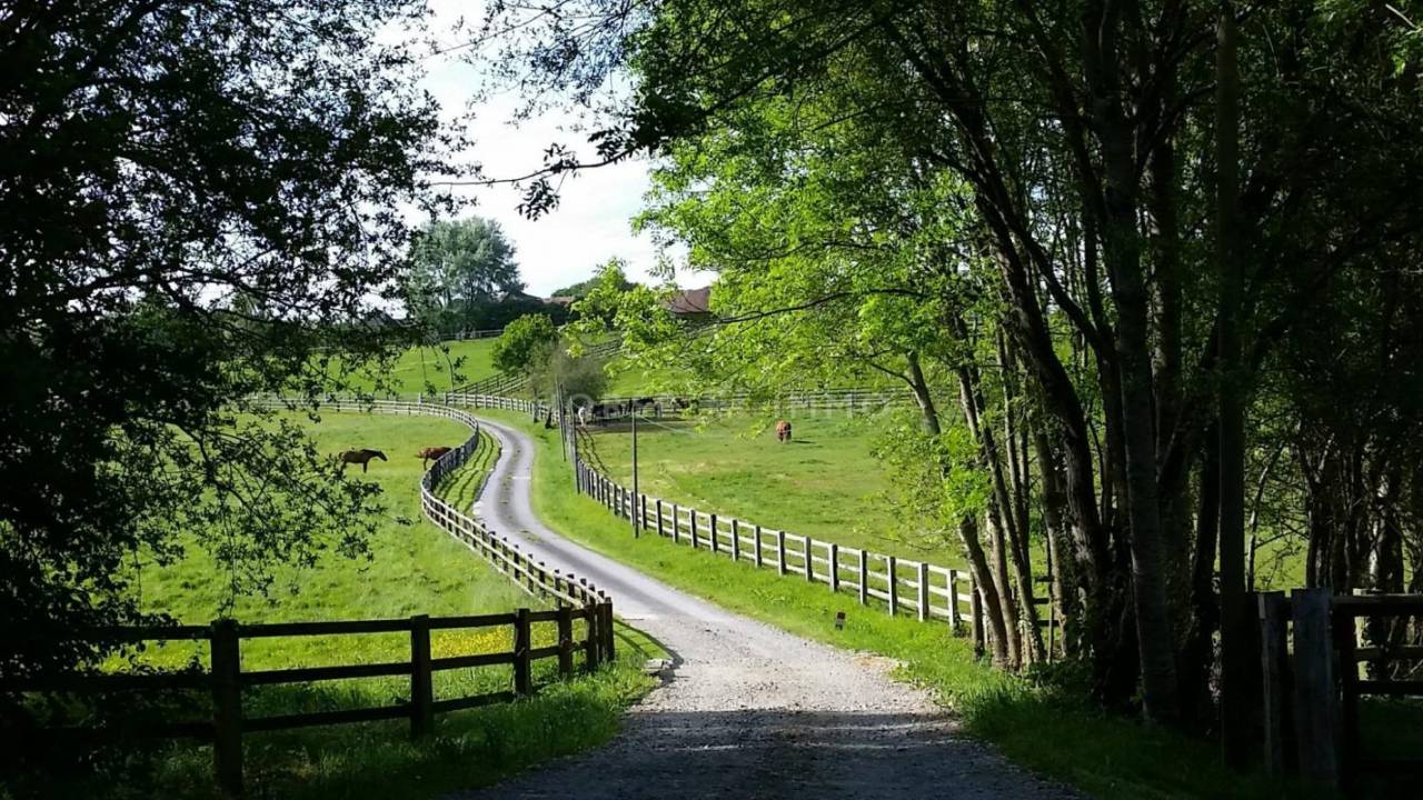 Proprietà equestre In vendita Orne