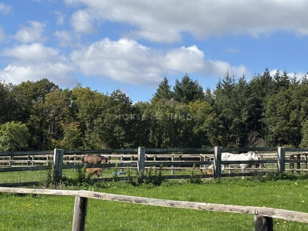 Proprietà equestre In vendita Orne