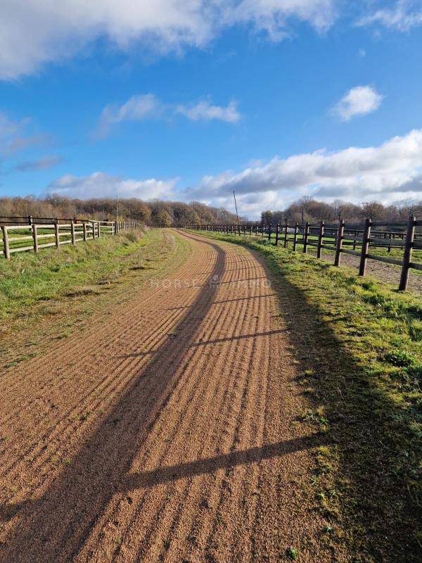 Proprietà equestre In vendita Orne