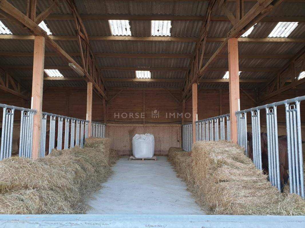 Proprietà equestre In vendita Orne