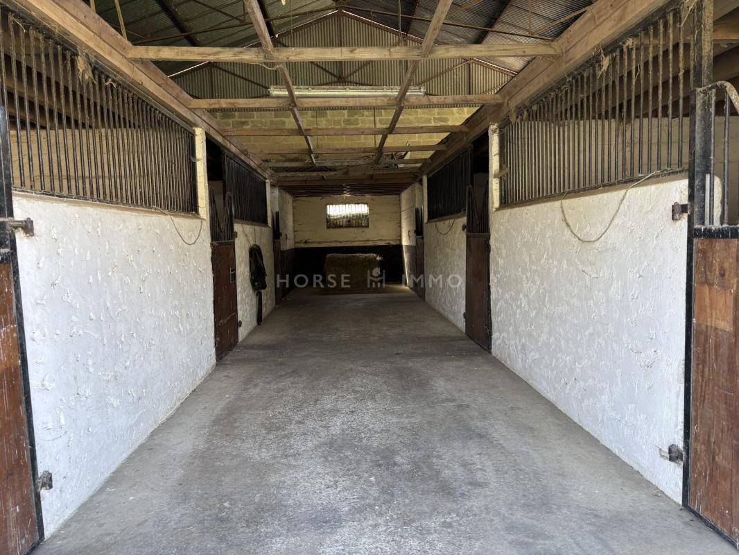Proprietà equestre In vendita Orne