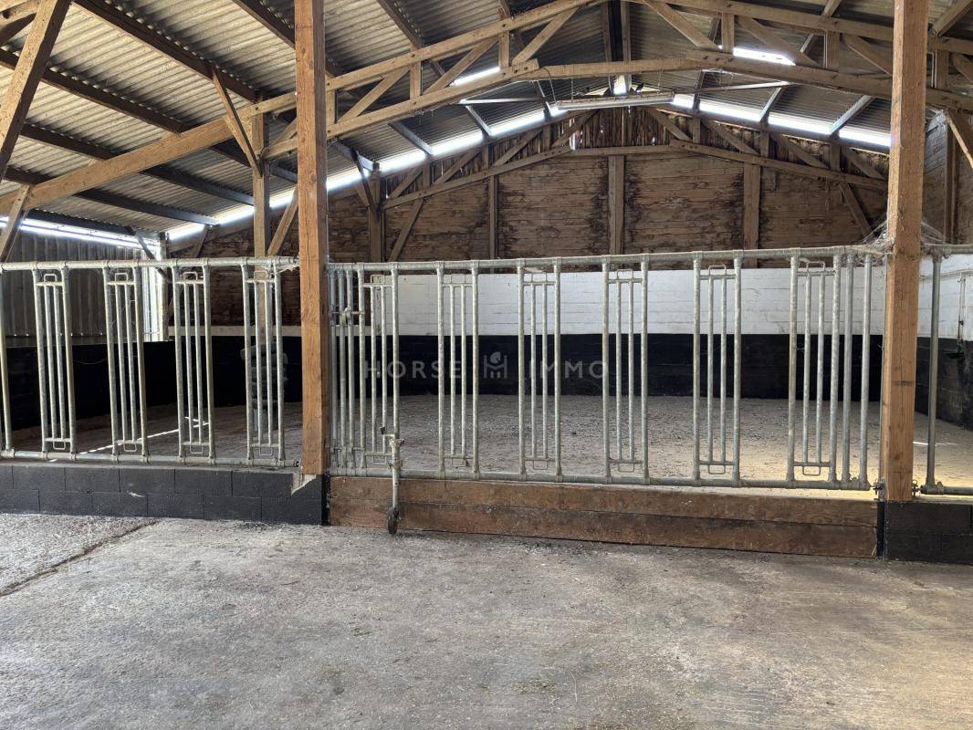 Proprietà equestre In vendita Orne