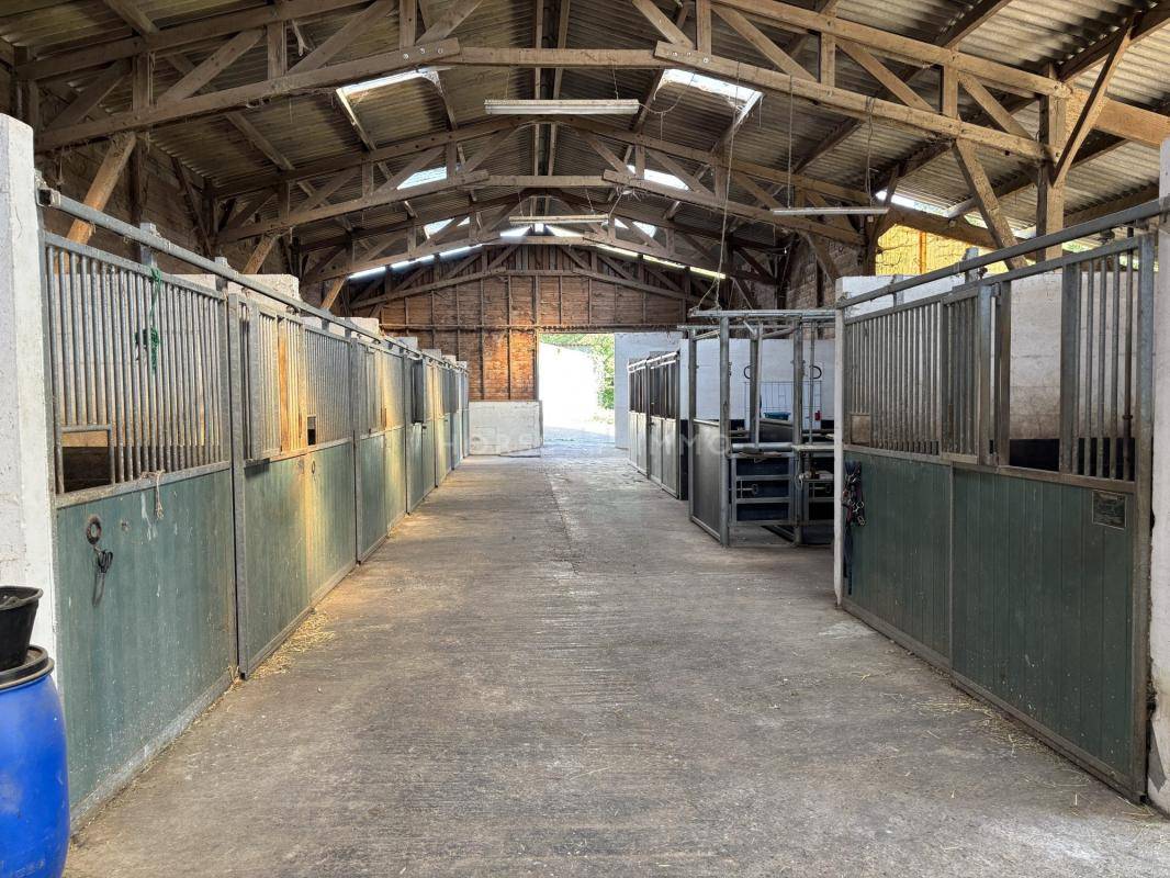 Proprietà equestre In vendita Orne