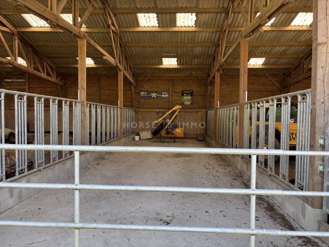 Proprietà equestre In vendita Orne