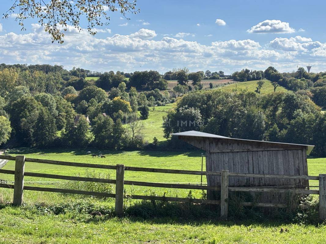 Proprietà equestre In vendita Orne