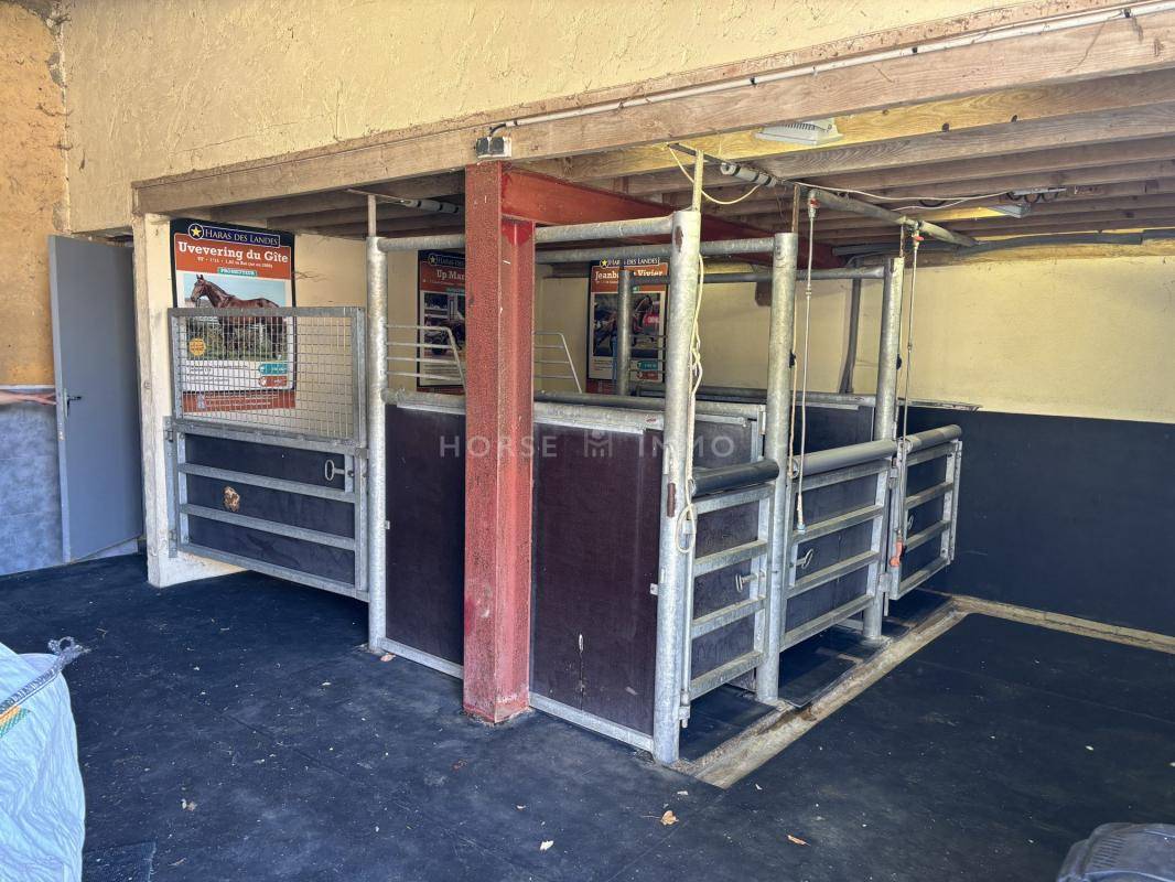 Proprietà equestre In vendita Orne