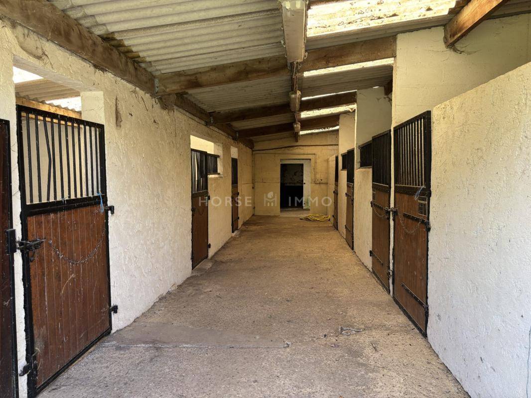 Proprietà equestre In vendita Orne