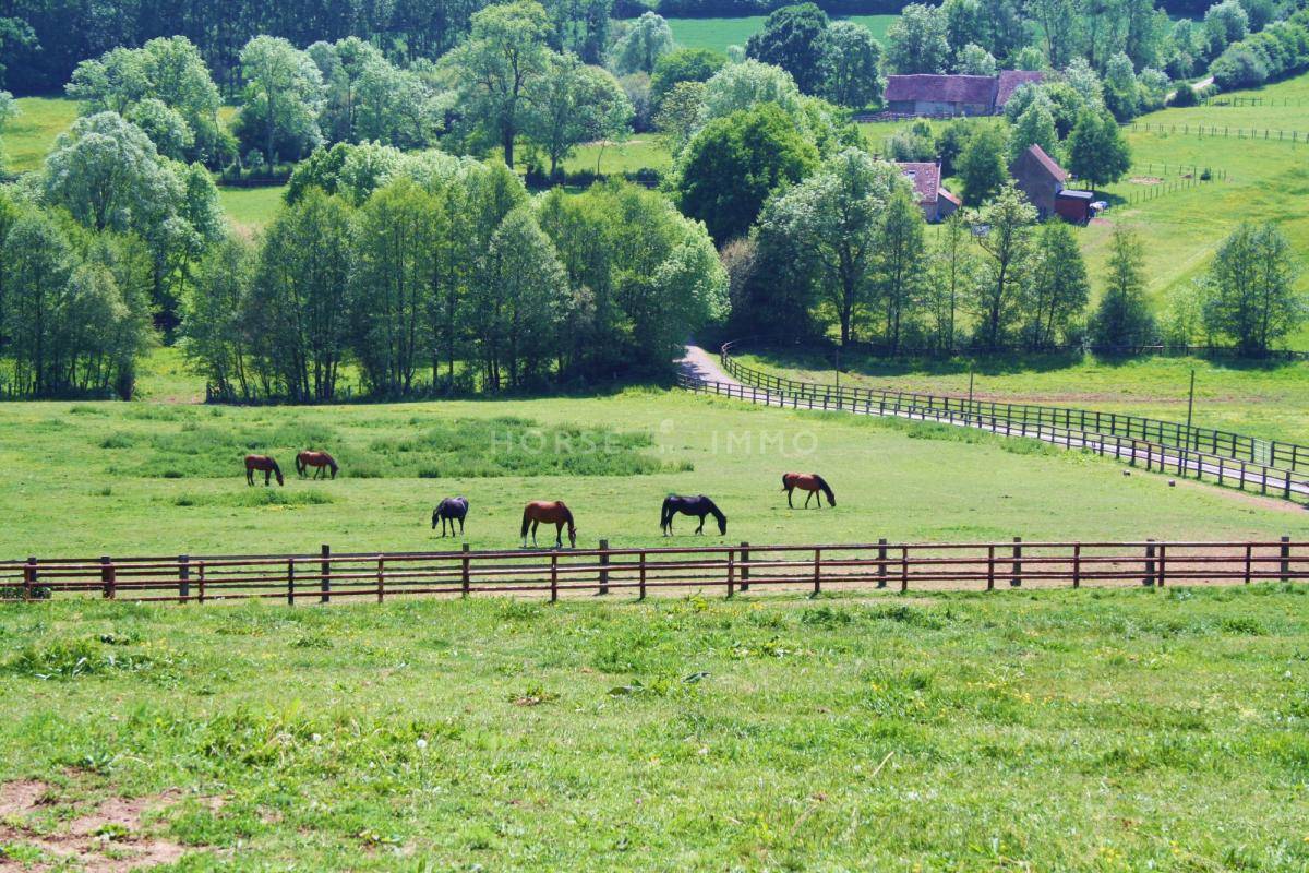 Proprietà equestre In vendita Orne