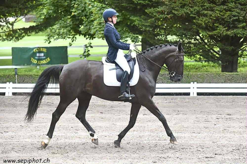 Cavalla CDF - Cavallo da dressage francese In vendita 2016 Nero