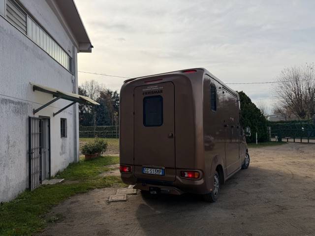 Van Trasporto Cavalli 
