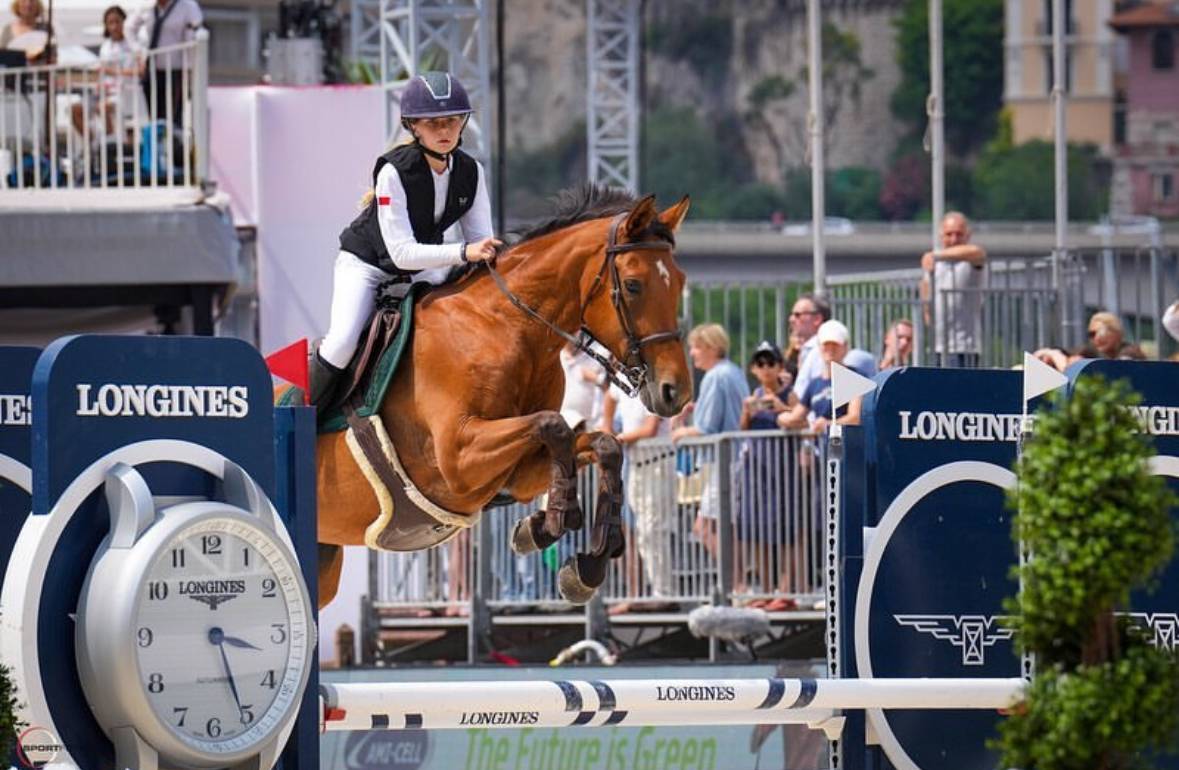 Cavalla Sella Francese In vendita 2013 Baio ,  DOUBLE D'elle