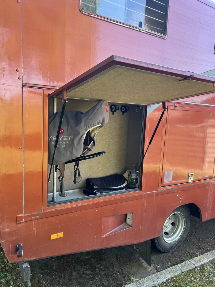 Camion per Cavalli Mercedes Mercedes Atego  1998 Occasione