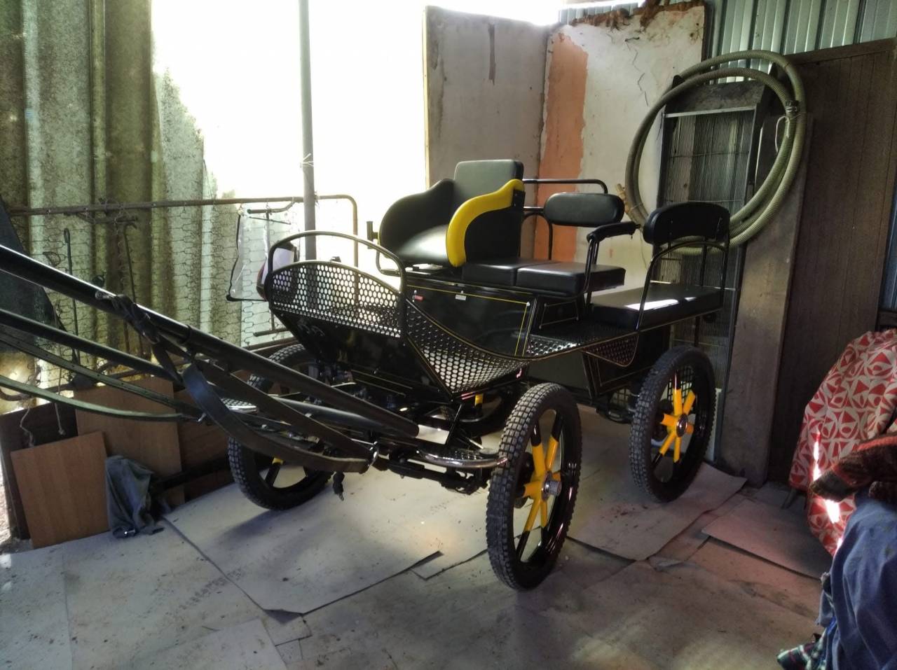 Marathon - 2 cavalli