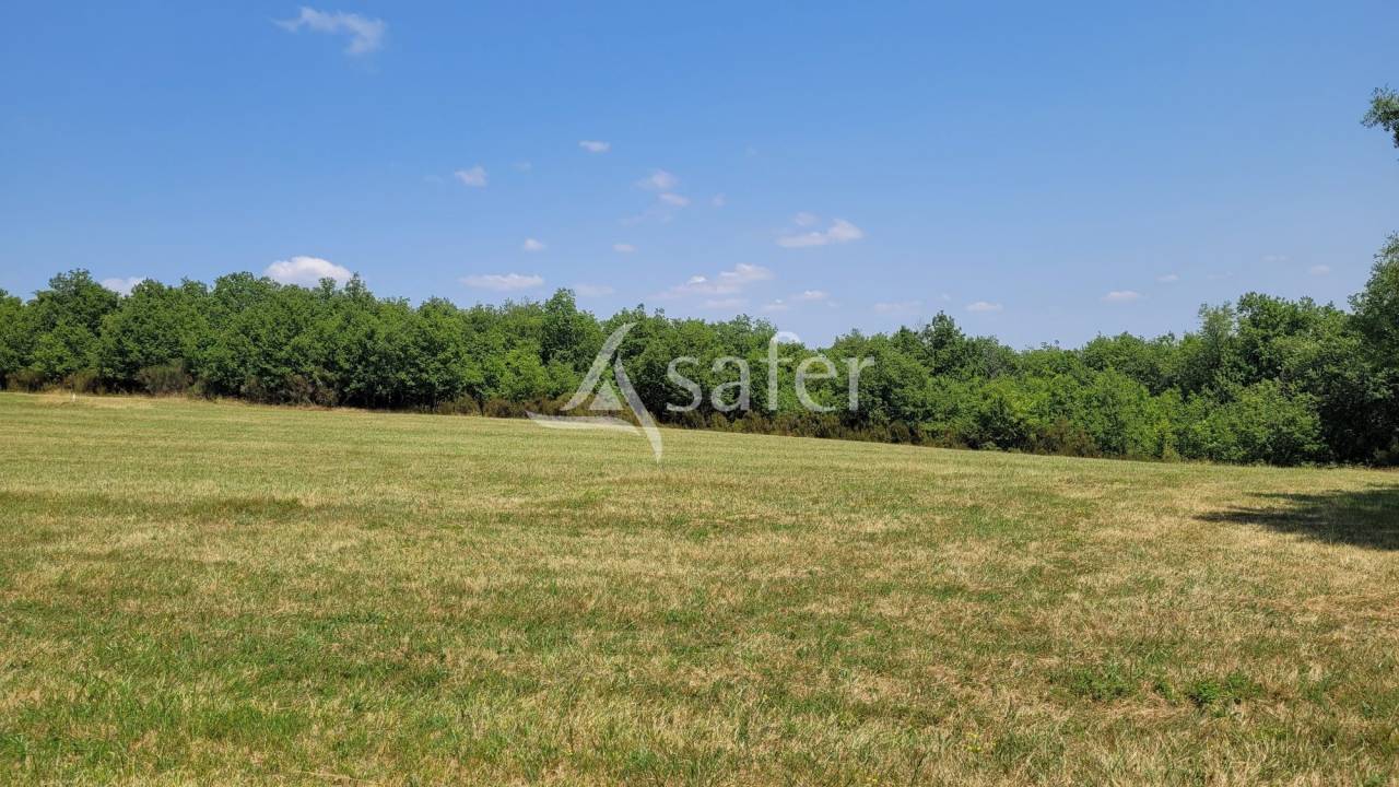 Proprietà rurale In vendita tarn