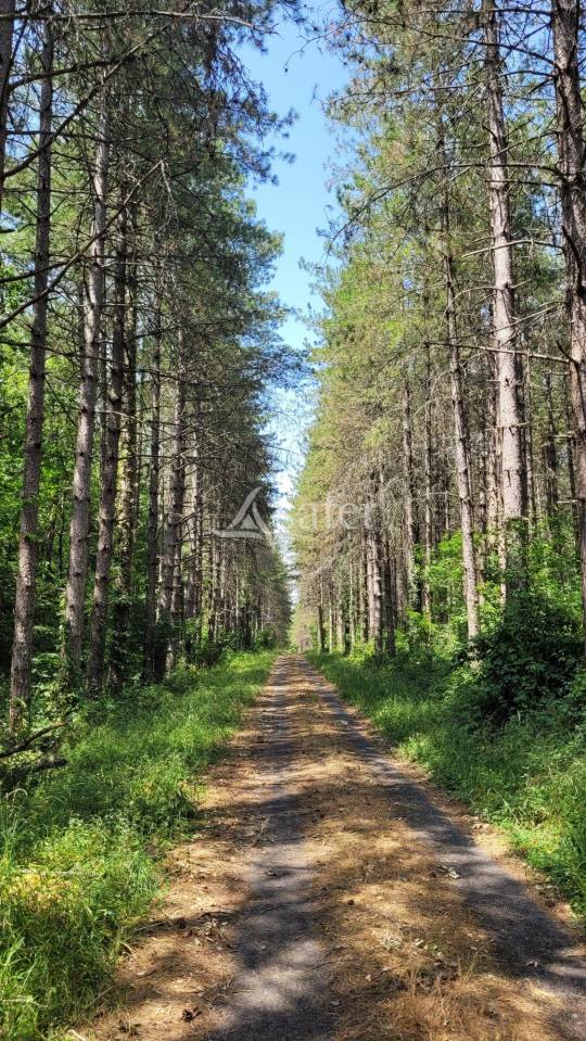 Proprietà rurale In vendita tarn