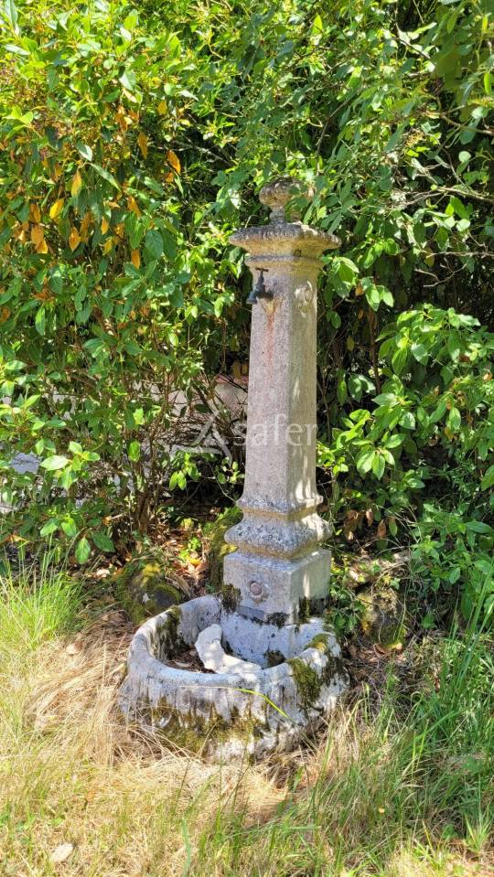 Propriet&agrave; rurale In vendita tarn