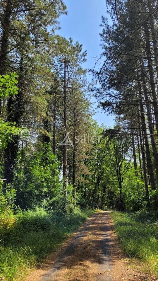 Propriet&agrave; rurale In vendita tarn