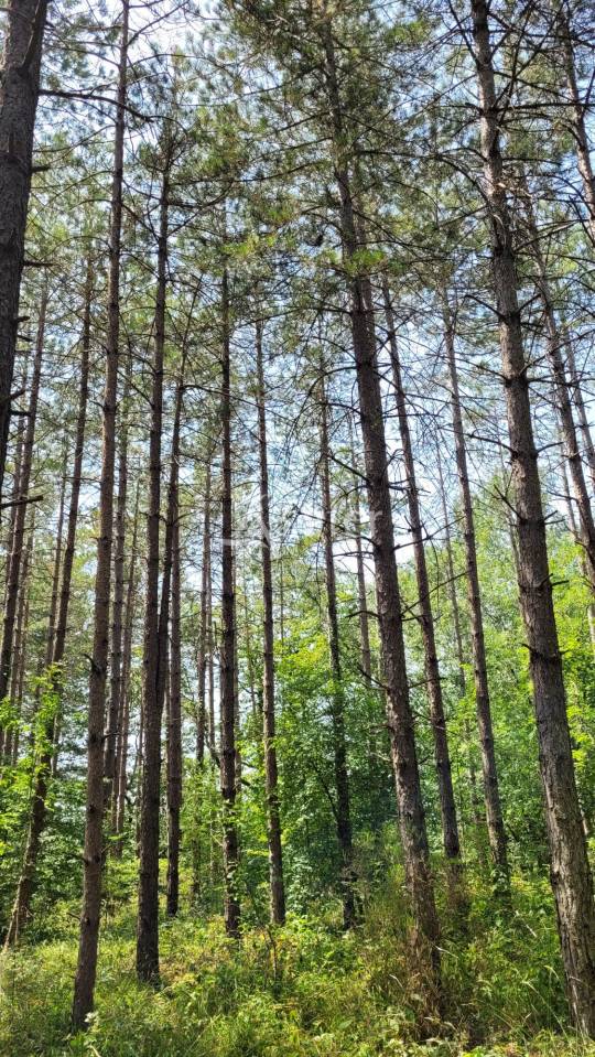 Propriet&agrave; rurale In vendita tarn