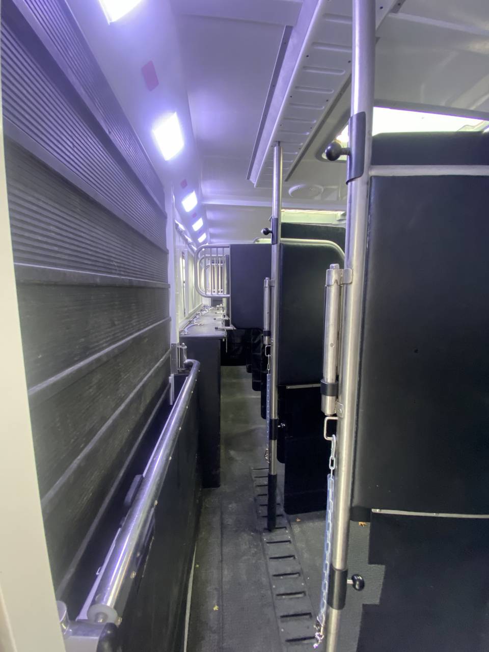 Camion per Cavalli AKX  2016 Occasione