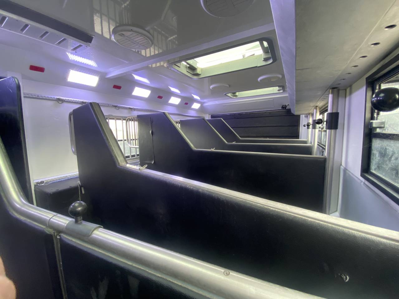 Camion per Cavalli AKX  2016 Occasione