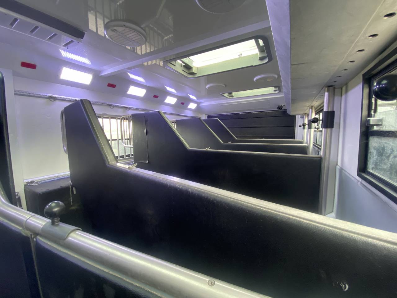 Camion per Cavalli AKX  2016 Occasione