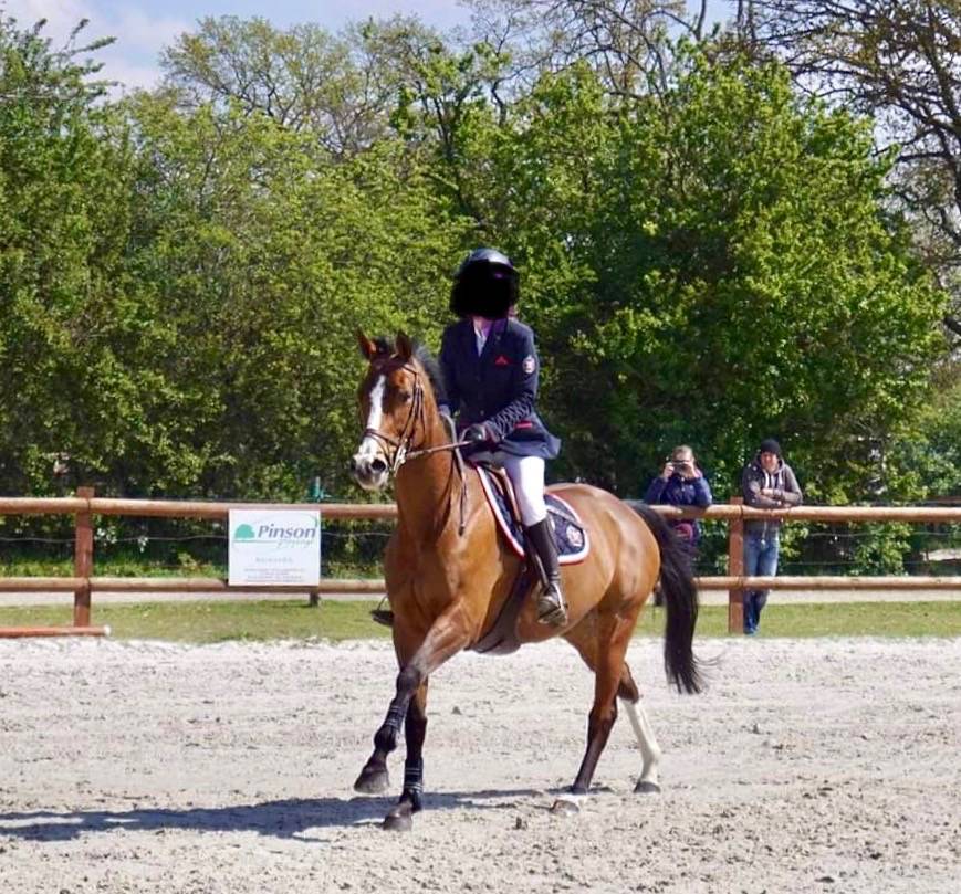 Cavalla Sella Francese In vendita 2011 Baio ,  OKE DU ROZEL