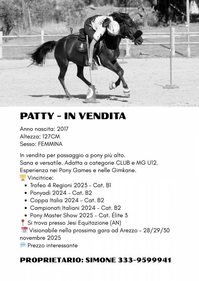 Pony per Pony Games - 8 anni - alta 127 Cm- Femmina 