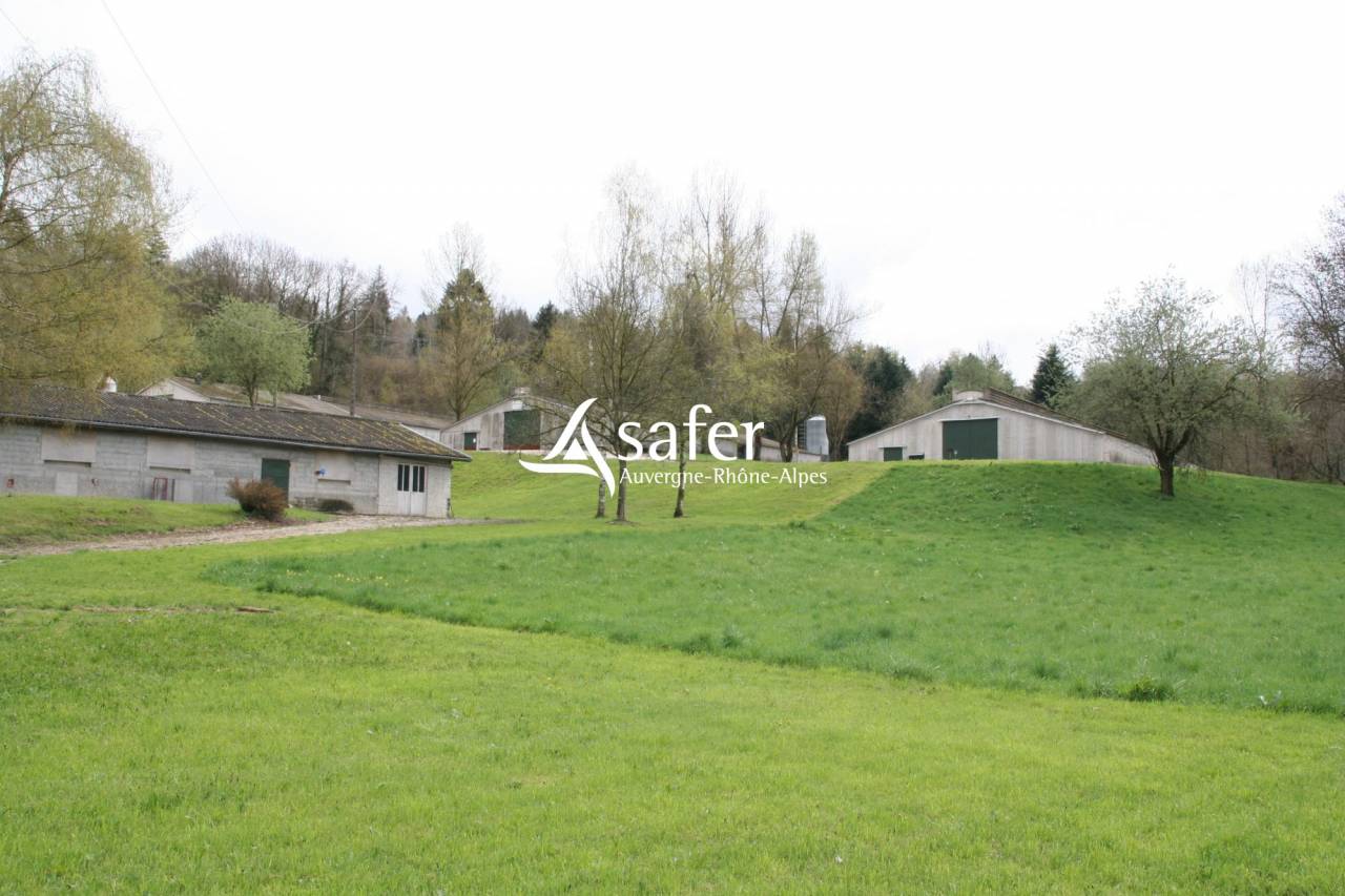 Azienda avicola In vendita Savoie